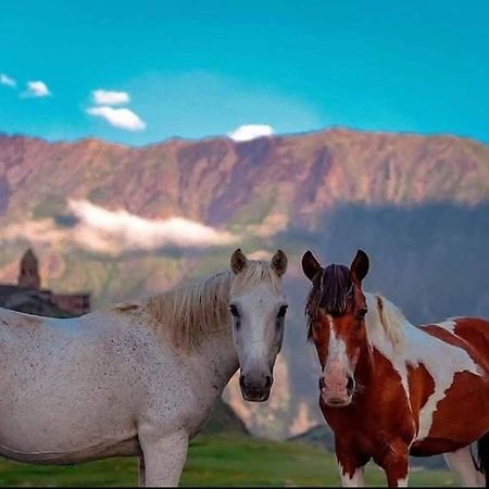Mariami Ξενοδοχείο Kazbegi Εξωτερικό φωτογραφία