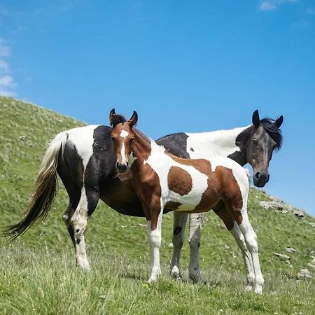 Mariami Ξενοδοχείο Kazbegi Εξωτερικό φωτογραφία
