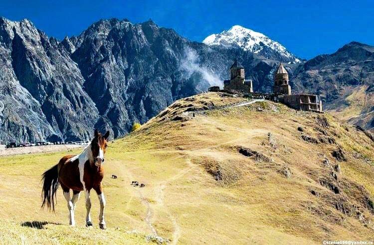 Mariami Ξενοδοχείο Kazbegi Εξωτερικό φωτογραφία