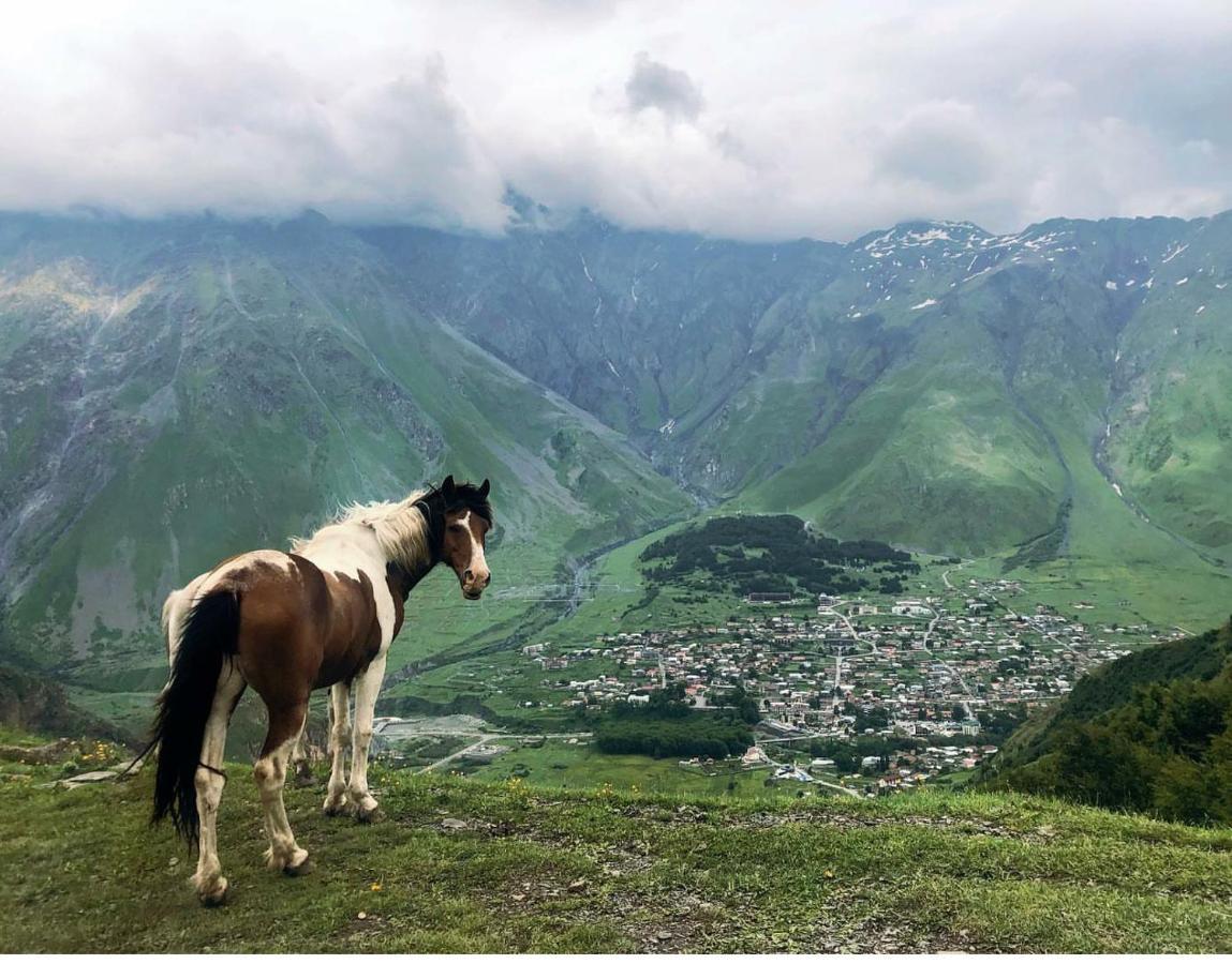 Mariami Ξενοδοχείο Kazbegi Εξωτερικό φωτογραφία