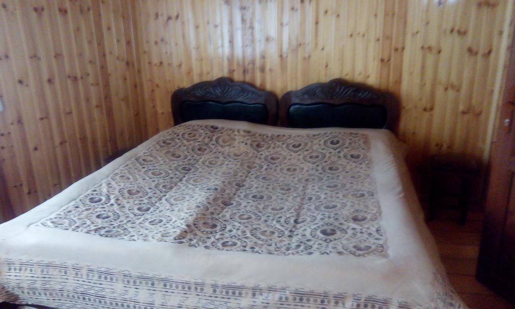 Mariami Ξενοδοχείο Kazbegi Εξωτερικό φωτογραφία