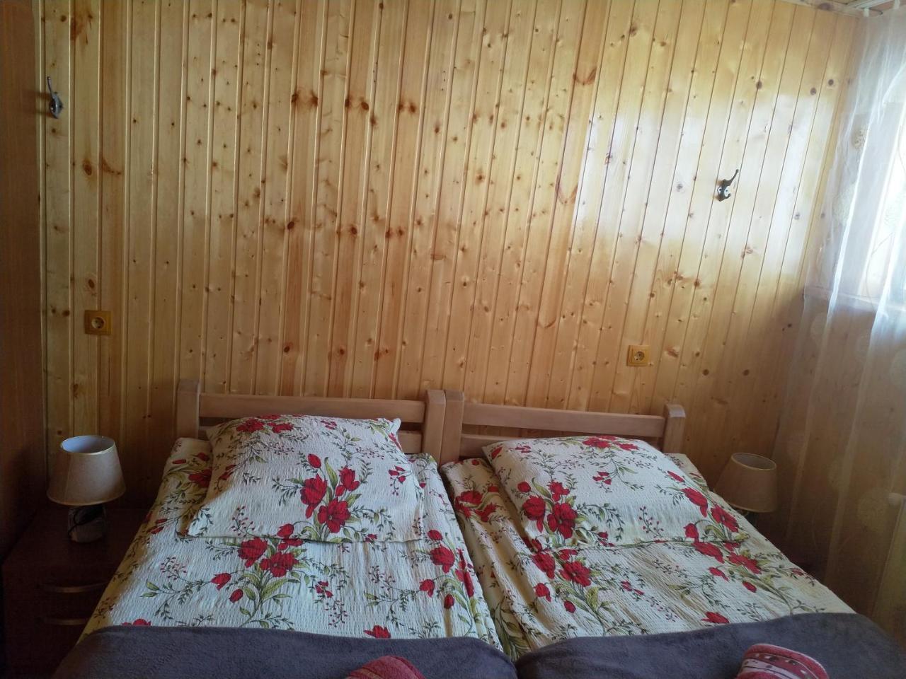 Mariami Ξενοδοχείο Kazbegi Εξωτερικό φωτογραφία