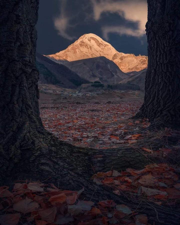Mariami Ξενοδοχείο Kazbegi Εξωτερικό φωτογραφία